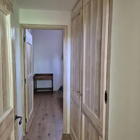 Dans Mas Renove Монпелье